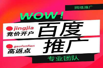 sem托管服务案例：如何实现广告投放精准投放